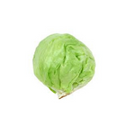 CABBAGE – 1 Kg