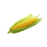 SWEET CORN – 100 G