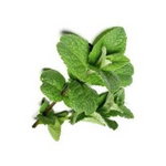 MINT – 1 Kg